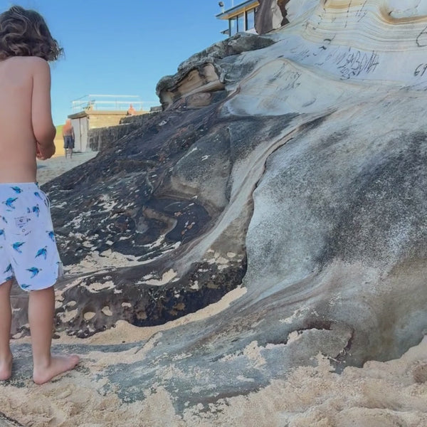 Short One Piece - Sea Turtle