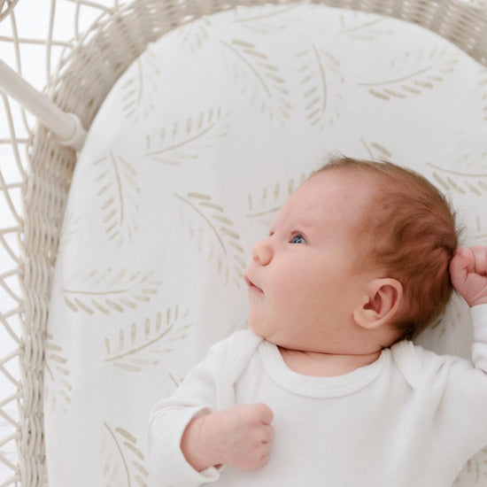 Fitted Jersey Cotton Bassinet sheet/Change Table Cover - Gold Fern