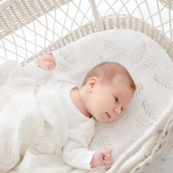 Fitted Jersey Cotton Bassinet sheet/Change Table Cover - Gold Fern