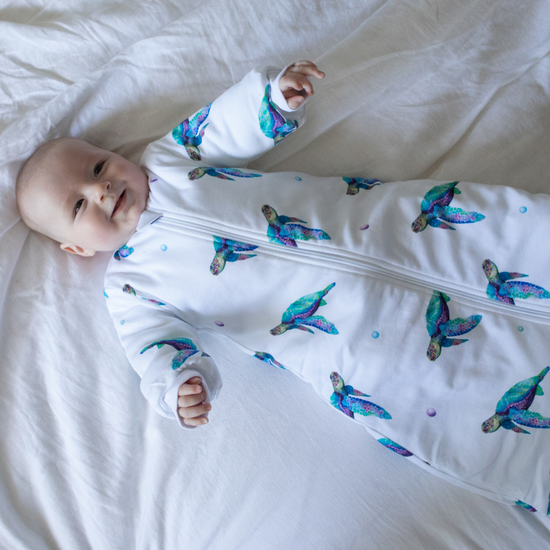 Winter Sleeping Bag 3.5 TOG - Turtle